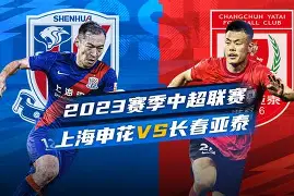 京媒申花像1支韩国球队 包括一些很烦人的小动作