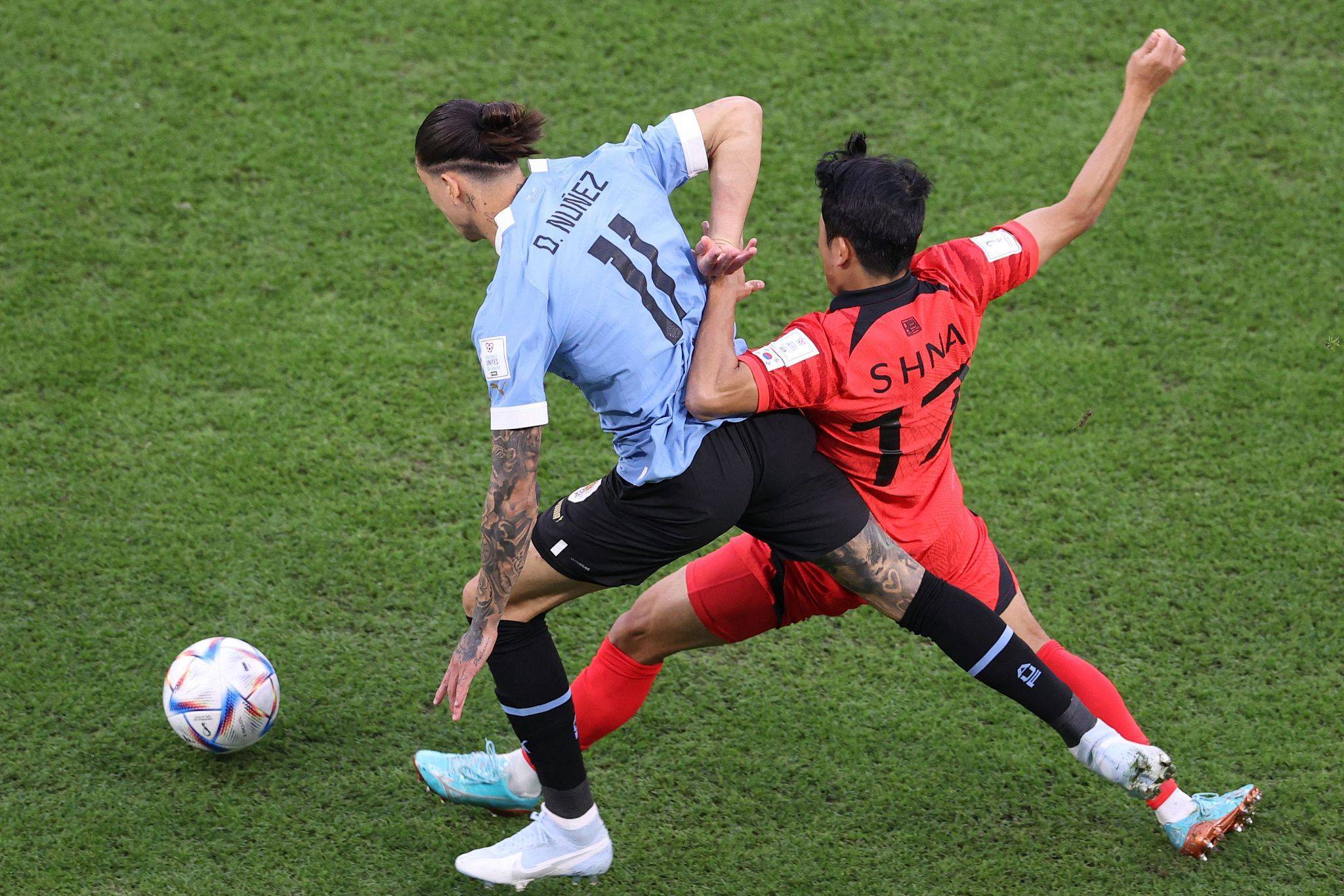 乐鱼体育官网-约翰尼已经长大成熟,不再害怕独自呆在家里了