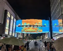 乐鱼app-江西和浙江是邻省吗